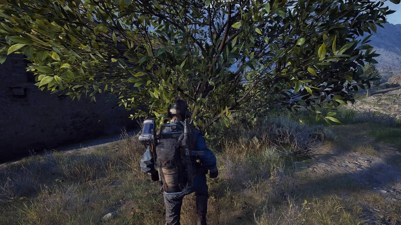 アークレイダーズのレモンとアプリコットはどこで見つかりますか?