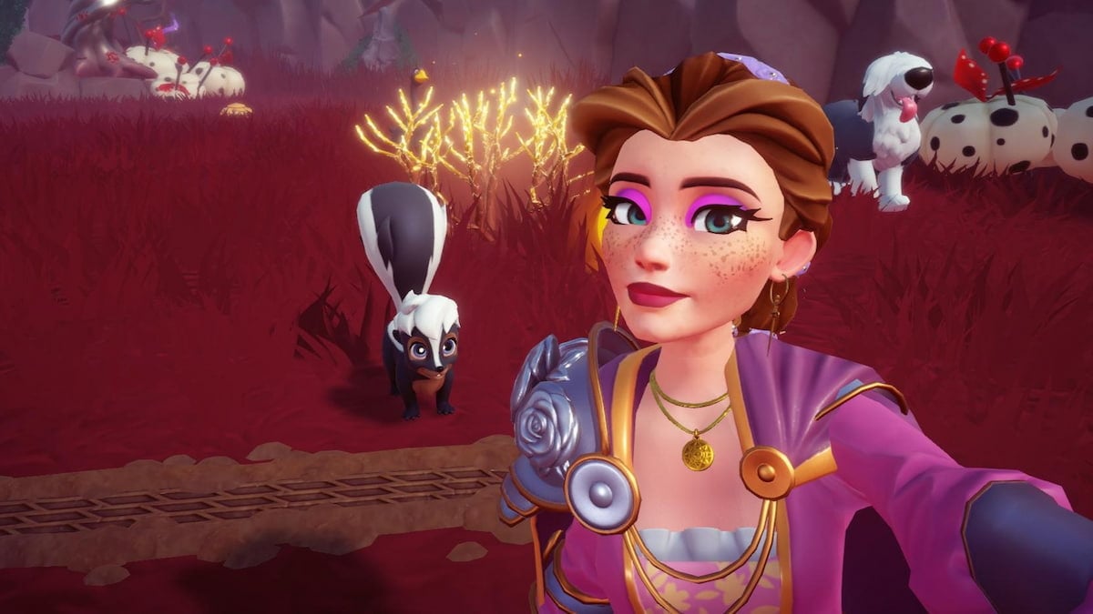 ディズニー・ドリームライト・バレーでスカンクに餌をやる方法